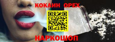 индика Можга
