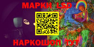 индика Можга