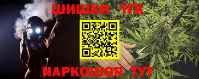 индика Можга