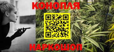индика Можга