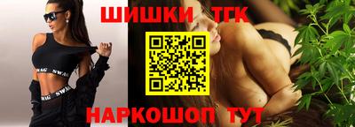 индика Можга