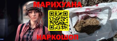 индика Можга