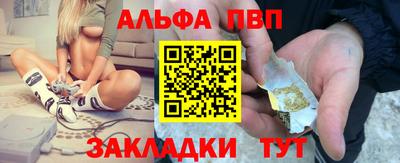 индика Можга