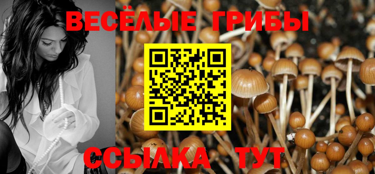 Псилоцибиновые грибы MAGIC MUSHROOMS Химки