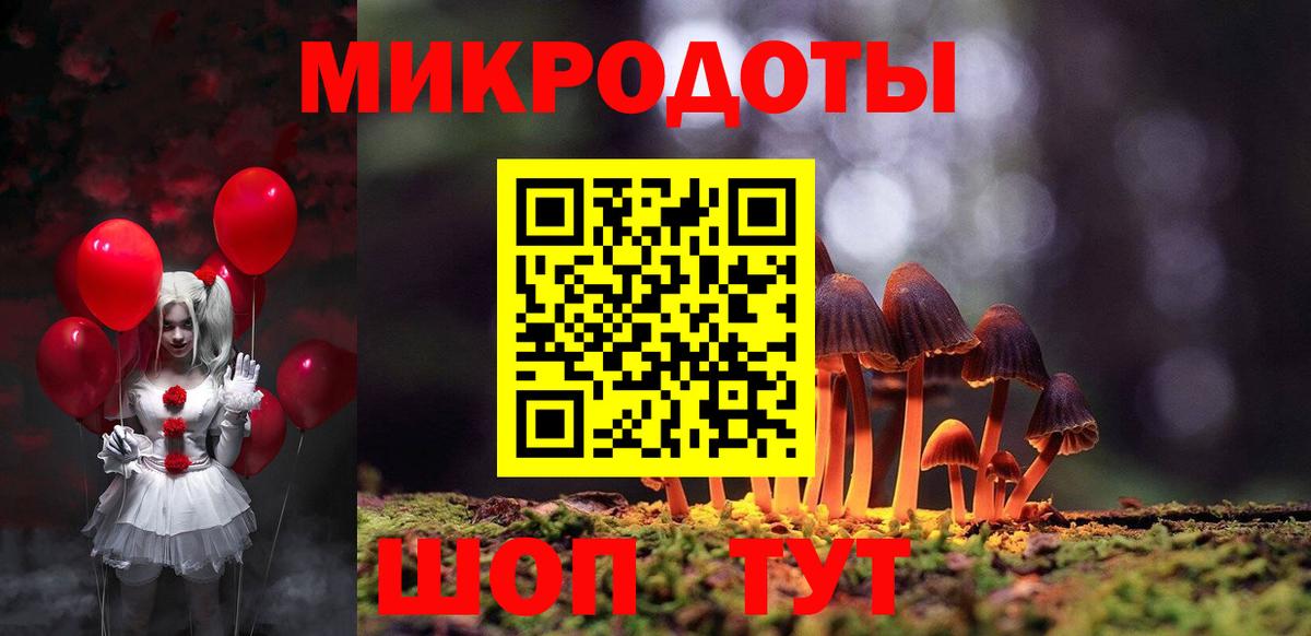 продажа наркотиков  Галлюциногенные грибы MAGIC MUSHROOMS  Вход с VPN  Химки  Псилоцибиновые грибы мицелий 