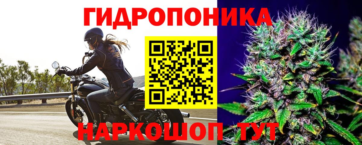 Каннабис планчик Химки